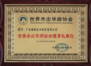 廣東城冠實(shí)業(yè)投資集團(tuán)圖冊——精準(zhǔn)投資咨詢，引領(lǐng)價(jià)值創(chuàng)造